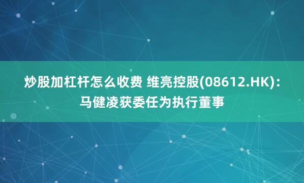 炒股加杠杆怎么收费 维亮控股(08612.HK)：马健凌获委任为执行董事