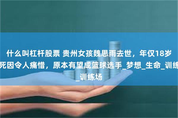 什么叫杠杆股票 贵州女孩魏思雨去世，年仅18岁，死因令人痛惜，原本有望成篮球选手_梦想_生命_训练场