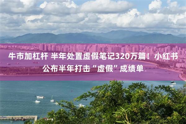牛市加杠杆 半年处置虚假笔记320万篇！小红书公布半年打击“虚假”成绩单