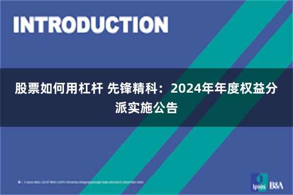 股票如何用杠杆 先锋精科：2024年年度权益分派实施公告