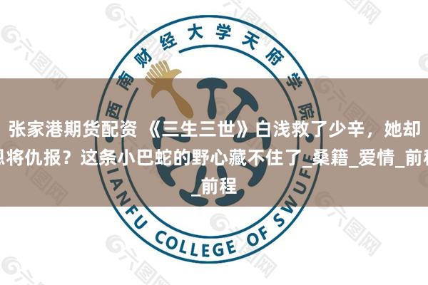 张家港期货配资 《三生三世》白浅救了少辛，她却恩将仇报？这条小巴蛇的野心藏不住了_桑籍_爱情_前程