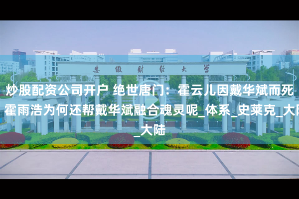 炒股配资公司开户 绝世唐门：霍云儿因戴华斌而死，霍雨浩为何还帮戴华斌融合魂灵呢_体系_史莱克_大陆