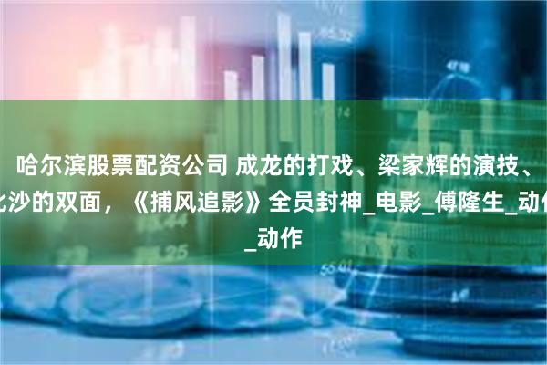 哈尔滨股票配资公司 成龙的打戏、梁家辉的演技、此沙的双面，《捕风追影》全员封神_电影_傅隆生_动作