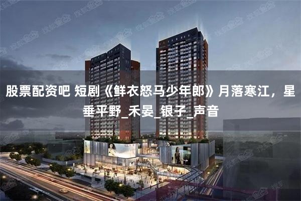 股票配资吧 短剧《鲜衣怒马少年郎》月落寒江，星垂平野_禾晏_银子_声音