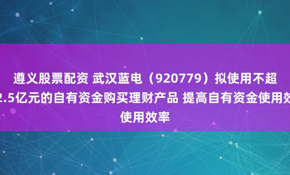 遵义股票配资 武汉蓝电(920779)拟使用不超过2.5亿元的自有资金购买理财产品 提高自有资金使用效率